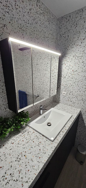 salle de bain renovee nice